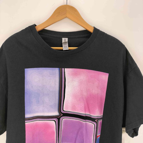 ギルダン GILDAN フォトグラファー企画 グラフィックプリント S/S クルーネック Tシャツ メンズ import:XL