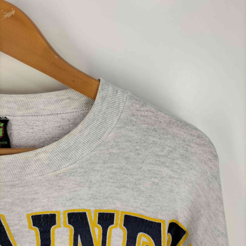 TSI 90S USA製 MOUNTAINEERS プリント クルーネックTシャツ メンズ import:XL
