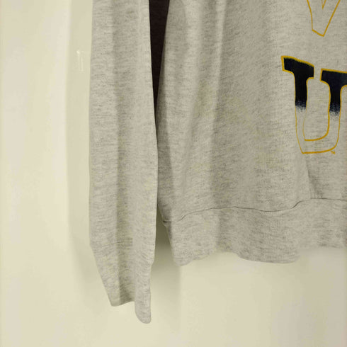 TSI 90S USA製 MOUNTAINEERS プリント クルーネックTシャツ メンズ import:XL