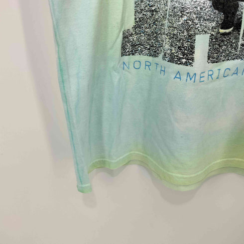 ヘインズ Hanes NORTH AMERICAN TOUR 2013 グランジ バンド S/S Tシャツ メンズ import:L