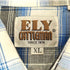 fly cattleman オマドラスチェック ウエスタンシャツ メンズ import:M