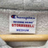 チャンピオン Champion Reverse Weave Stormshell Sweats Parka リバースウィーブ ストームシェル パーカー フーディー メンズ import:M