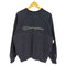 チャンピオン Champion Vガゼット スクリプトロゴ ラグラン スウェット フェード メンズ import:M