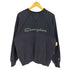 チャンピオン Champion Vガゼット スクリプトロゴ ラグラン スウェット フェード メンズ import:M