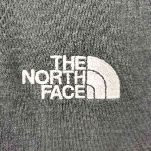 ザノースフェイス THE NORTH FACE CIRCULAR DESIGN ロゴプリント クルーネック Tシャツ メンズ import:XL