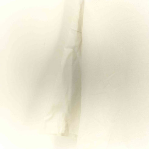 クリティカルスライド critical slide BIRDWELL DOLFIN TEE メンズ import:M