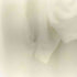 オーワイ OY VANISH LOGO HOODIE-WHITE メンズ