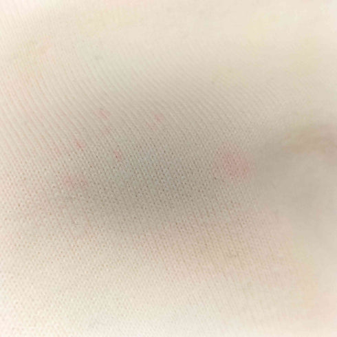 ピンクハウス PINK HOUSE 00S コラボ キャラクタープリント ラグラン クルーネック Tシャツ レディース JPN:L