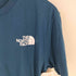 ザノースフェイス THE NORTH FACE US モデル エボリューション バンライフ グラフィックTシャツ メンズ import:L