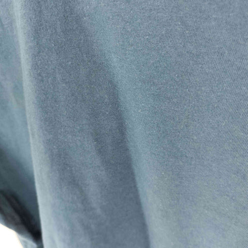 ザノースフェイス THE NORTH FACE US モデル エボリューション バンライフ グラフィックTシャツ メンズ import:L