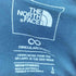 ザノースフェイス THE NORTH FACE US モデル エボリューション バンライフ グラフィックTシャツ メンズ import:L