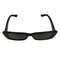 レイバン Ray-Ban TERU BIO-BASED メンズ 54□17