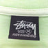 ステューシー Stussy FRAME PIG.DYED TEE Tシャツ メンズ import:M