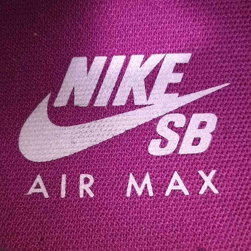 ナイキスケートボーディング NIKE SB AIR MAX 95 CACTUS FLOWER スニーカー メンズ JPN:26.5