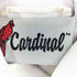カーディナル Cardinal ナイロンサテンブルゾン メンズ S