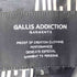 ガリスアディクション GALLIS ADDICTION ラムレザージャケット メンズ 3