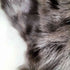fur jacket ファージャケット レディース FREE