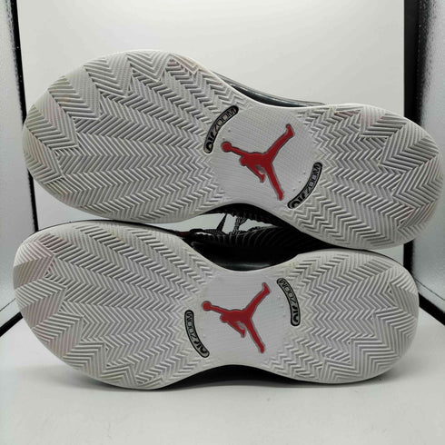 ジョーダンブランド JORDAN BRAND AIR JORDAN XXXV LOW PF WHITE/METALLIC SILVER メンズ JPN:28