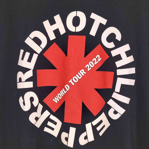 2022 両面プリントバンドTシャツ メンズ