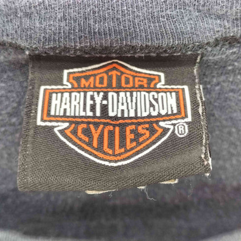ハーレーダビッドソン HARLEY-DAVIDSON ラメプリントTシャツ レディース import:XL