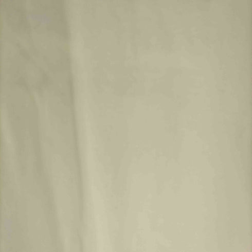 パタゴニア patagonia REGULAR FIT WORLD TROUT Tシャツ メンズ import:M