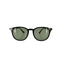 レイバン Ray-Ban RB-4259 メンズ 53□20 150