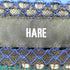 ハレ HARE ストライプ メッシュ シャツ メンズ FREE