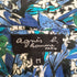 アニエスベーオム Agnes b.homme 花柄 S/S アロハシャツ メンズ JPN:M