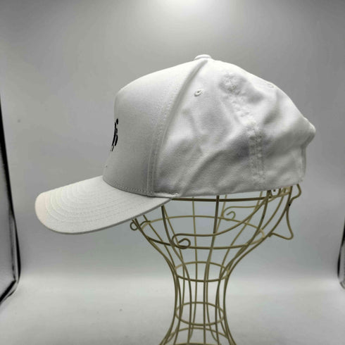 BLAZZWORKS MOL53 SnapBack CAP DROP スナップバック キャップ ドロップ メンズ