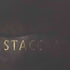 スタッカート STACCATO サイドジップ レザーロングブーツ レディース 22.5