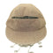 ノーロール NOROLL DEVELOPMENT WOOL N WEATHER CAP メンズ