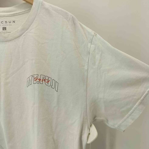 パクサン PACSUN Mt. Fuji T-Shirt メンズ L
