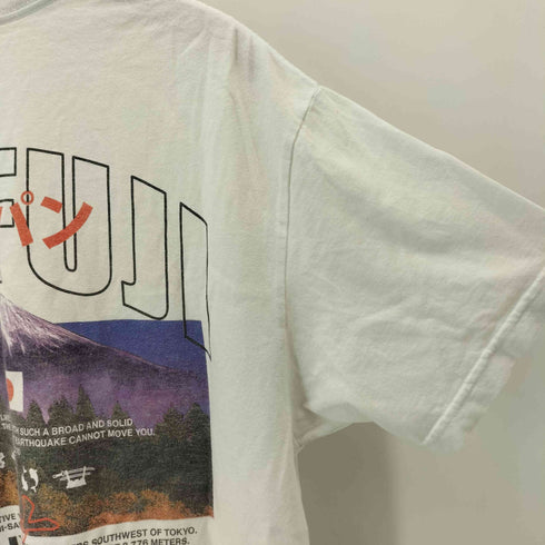 パクサン PACSUN Mt. Fuji T-Shirt メンズ L