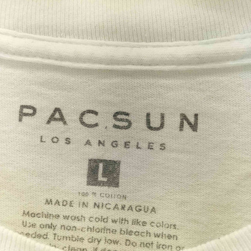 パクサン PACSUN Mt. Fuji T-Shirt メンズ L