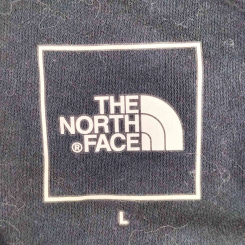 ザノースフェイス THE NORTH FACE Zoo Picker L/S Tee ズー ピッカー 長袖Tシャツ メンズ import:L