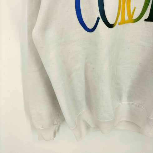 ラッセルアスレチック RUSSELL ATHLETIC 90s USA製 NORTHWEST COLORS ラバープリント 前V クルーネックスウェット メンズ import:L
