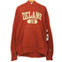 チャンピオン Champion DELANO プルオーバー パーカー メンズ import:L