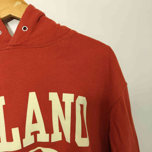 チャンピオン Champion DELANO プルオーバー パーカー メンズ import:L