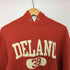 チャンピオン Champion DELANO プルオーバー パーカー メンズ import:L