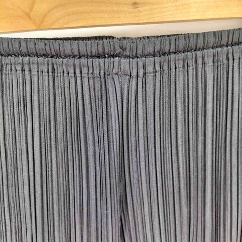 プリーツプリーズイッセイミヤケ PLEATS PLEASE ISSEY MIYAKE プリーツ パンツ レディース JPN:1