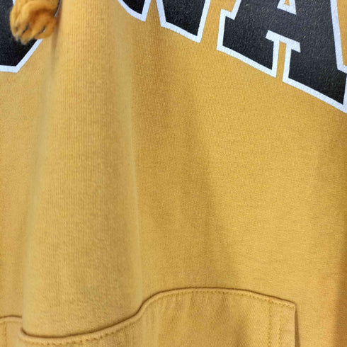 チャンピオン Champion 00S メキシコ製 IOWA プルオーバーパーカー メンズ import:L