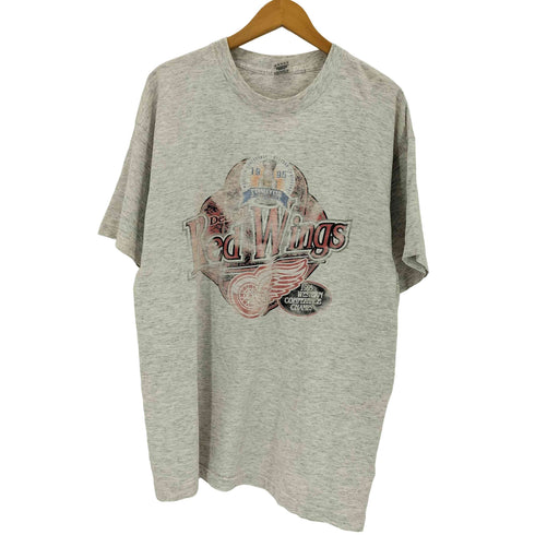 フルーツオブザルーム FRUIT OF THE LOOM 90s USA製 シングルステッチ RED WINGS プリント クルーネックTシャツ メンズ import:XL
