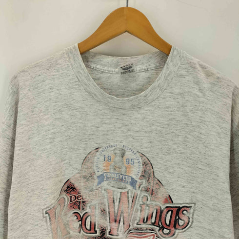 フルーツオブザルーム FRUIT OF THE LOOM 90s USA製 シングルステッチ RED WINGS プリント クルーネックTシャツ メンズ import:XL