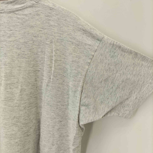 フルーツオブザルーム FRUIT OF THE LOOM 90s USA製 シングルステッチ RED WINGS プリント クルーネックTシャツ メンズ import:XL