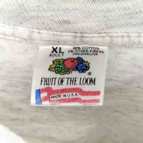 フルーツオブザルーム FRUIT OF THE LOOM 90s USA製 シングルステッチ RED WINGS プリント クルーネックTシャツ メンズ import:XL