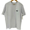 パタゴニア patagonia 21SS P-6 Label Pocket Responsibili Tee ラベル ポケット レスポンシビリティー S/S Tシャツ メンズ import:L