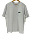 パタゴニア patagonia 21SS P-6 Label Pocket Responsibili Tee ラベル ポケット レスポンシビリティー S/S Tシャツ メンズ import:L