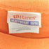 ヘインズ Hanes 00s 2002年 2枚タグ HEAVYWEIGHT 両面プリント S/S Tシャツ メンズ