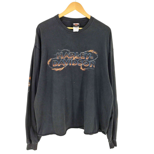 ハーレーダビッドソン HARLEY-DAVIDSON USA製 有刺鉄線 フレイム 袖プリント L/S Tシャツ メンズ 2XL