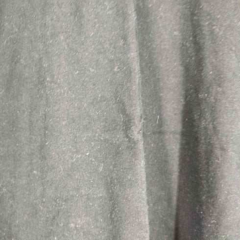 ヘインズ Hanes 00S sara lee ブランク Tシャツ メンズ import:L
